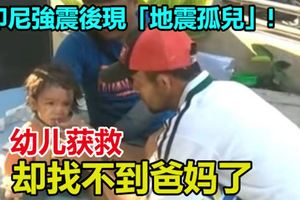 印尼強震後現「地震孤兒」!幼兒獲救卻找不到爸媽了