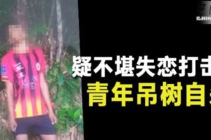 疑不堪失戀打擊青年吊樹自殺