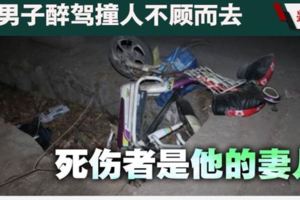 男子醉駕撞人不顧而去·死傷者是他的妻兒