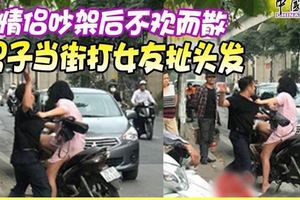 情侶吵架後不歡而散男子當街打女友扯頭發（內附視頻）