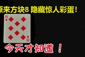 原來方塊8隱藏驚人彩蛋！網友驚呆：今天才知道