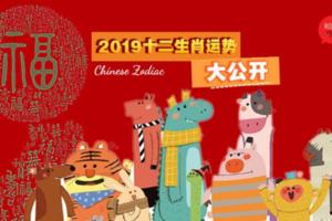 2019豬年運勢大公開！『這些生肖』明年不止桃花大開，財運也一級棒！?趕緊來看看吧！