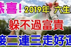 恭喜！2019年躲不過富貴的六大生肖，接二連三走好運