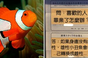 京都水族館開始「戀愛諮詢功能」　員工的認真回覆讓網友秒噴笑：太中肯！