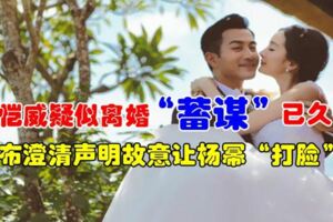 劉愷威疑似離婚「蓄謀」已久，發布澄清聲明故意讓楊冪「打臉」？