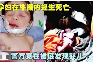 孕婦在牛棚內輕生死亡警方竟在裙底發現新生兒！