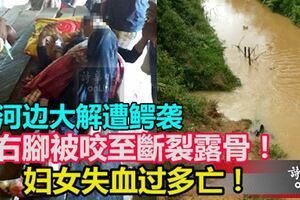 河邊大解遭鱷襲，右腳被咬至斷裂露骨，婦女失血過多亡！