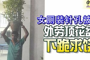 工廠女廁內裝電眼偷窺被捕！孟加拉外勞被罰，頂花盆下跪求饒！