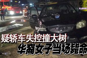 華裔女子凌晨獨自開車外出時，疑轎車失控猛撞路旁大樹，當場斃命！