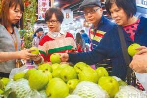 高雄出貨如同下餃子 600箱燕巢芭樂要搭船出海了