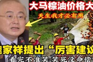 【大馬棕油價格大跌】魏家祥提出「厲害建議」！慘遭網民炮轟（看完不準笑，笑死沒命償）