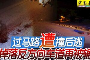 過馬路遭撞後逃掉落反方向車道再被輾