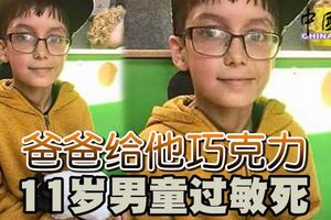 爸爸給他巧克力11歲男童過敏死