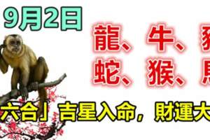 9月2日生肖運勢_龍、牛、豬大吉