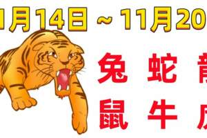 12生肖一周（11.14~11.20）