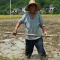 農村人調便秘很實在，城裏人爭先效仿，沒想到該通便食物是特產