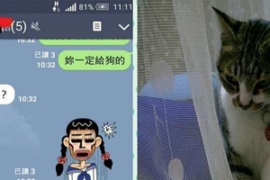 媽媽急傳LINE問女兒，「為什麼貓咪不吃她換的飼料」，看了飯碗後，女兒和貓皇一樣傻眼啦！