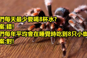 破解【10個全世界都在疑惑的思迷】 第5個太誇張了!! 