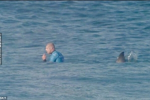 	怕被鯊魚吃掉，天才夫婦竟套著「鐵籠」出海結果…