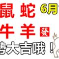 6月14日，生肖龍、鼠、蛇、猴、牛、羊！運勢大吉！
