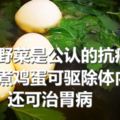 這種野菜是公認的抗癌菜，用它煮雞蛋可驅除體內寒毒，還可治胃病