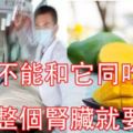 吃芒果4大禁忌！芒果不能和它同吃，不然整個腎臟就要壞了！這四類人千萬不要吃，否則只能送醫了！