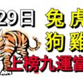 6月29日生肖運勢！生肖兔、虎、羊、狗、雞、鼠！九運當頭！