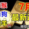 生肖猴、生肖狗、生肖羊的7月最新運勢