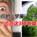 口臭是你的「夢魘」，不想遭排斥的，試試這3種中草藥泡茶！