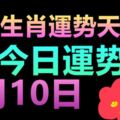 十二生肖運勢天天看，今日運勢：8月10日