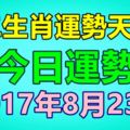 十二生肖運勢天天看，今日運勢：8月23日