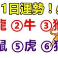 10月1日，12生肖運勢！龍、牛、猴、鼠、虎、狗！必轉！新的一月好運連連來！