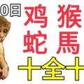 10月10日，生肖雞、猴、鼠、蛇、馬、羊！十全十美！