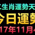 十二生肖運勢天天看，今日運勢：2017年11月4日