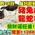 今天11月28日,每日旺財提示：豬兔虎狗，龍蛇羊雞。錢財運旺盛！錢財自動上門留言11288必轉！