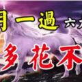 這6大生肖，12月一過，錢多得花不完！