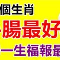 心腸最好，這三個生肖一生福報最多，尤其是1月！