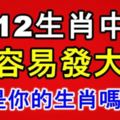 12生肖中最容易發大財的生肖，是你嗎？