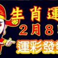 2月8日生肖運勢走向，小年有命中貴人，不要放走1千萬的機會！