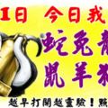 2月11日，今日我最旺！蛇兔龍馬鼠羊狗豬！【33888】越早打開越靈驗！點個贊吧！