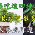 平日多吃這四種草，能讓你少吃很多藥，比人蔘鹿茸還有效！