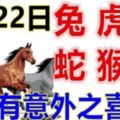 8月22日生肖運勢_兔、虎、馬大吉