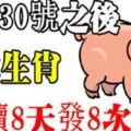 家中有此8大生肖，8月30號之後連續8天發8次橫財，接住了【8888】