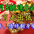 10月8號逢8必發，4生肖走出低谷，下半年，隨時翻身變財主