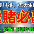 雙11後，五大生肖，逢賭必贏『必轉，必發』財運好到擋不住