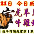 11月21日，今日我最旺！虎羊馬豬牛雞蛇龍！【99688】越早打開越靈驗！點個讚吧！