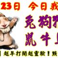 11月23日，今日我最旺！兔狗猴羊鼠牛馬蛇！【11688】越早打開越靈驗！點個讚吧！