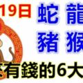 12月19日生肖運勢_蛇、龍、牛大吉