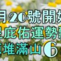 12月20號開始，吉星庇佑運勢飄紅，財源堆滿山的6大生肖！