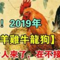 緊急！2019年，屬【羊雞牛龍狗】的人，貴人扶吉星照，翻身交好運，快接